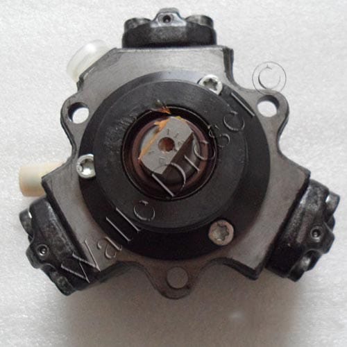 0445010079 Fuel Pump Assembly