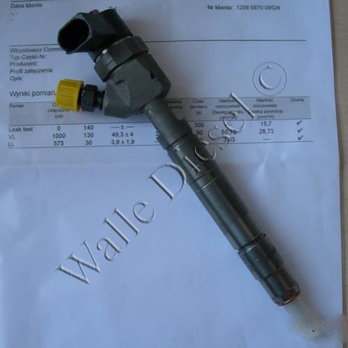 0445110105 Injector