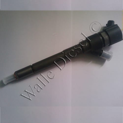 0445110257 Injector
