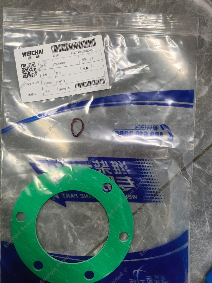 13054909 gasket