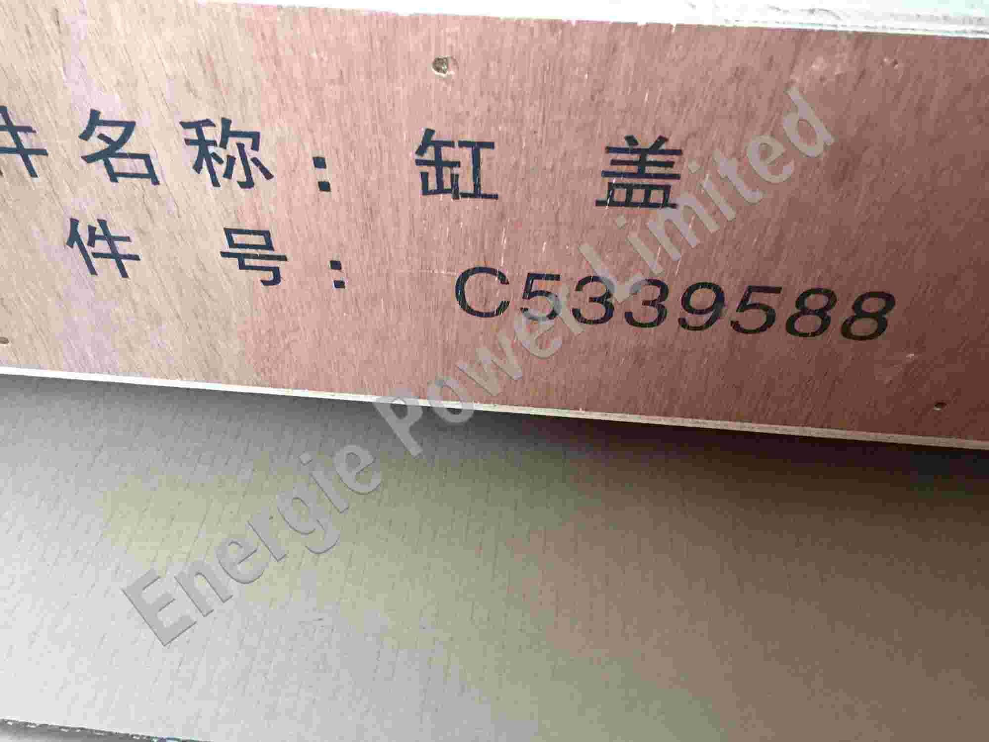 5339588 Cylinder Head
