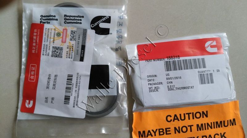 188318 Thermostat Seal