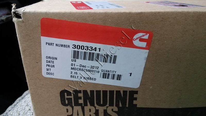 3003341 V Ribbed Belt