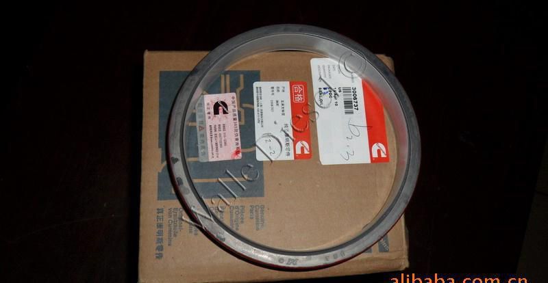 3006737 Oil Seal