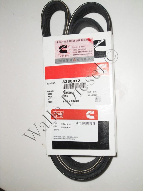 3288812 V Ribbed Belt