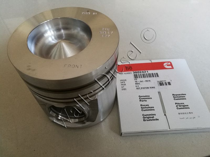 3802160 Engine Piston Kit