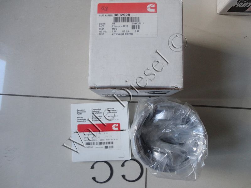 3802928 Engine Piston Kit