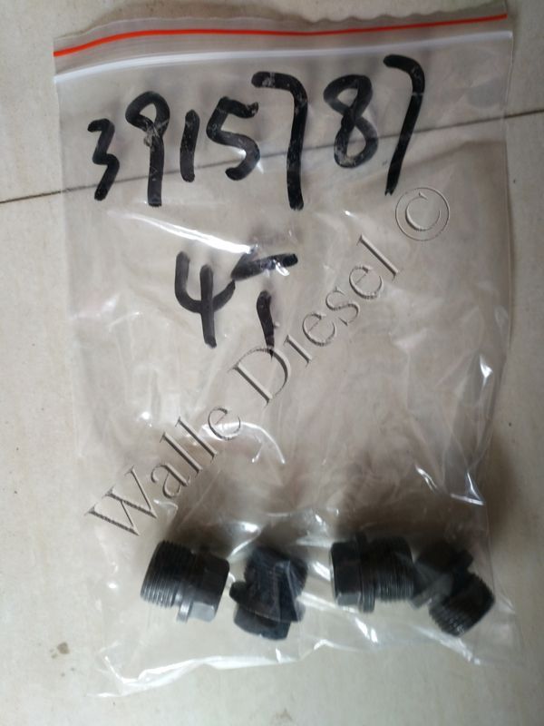 3915787 Threaded Plug