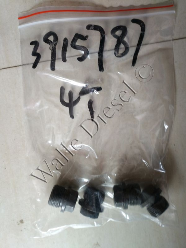 3915787 Threaded Plug