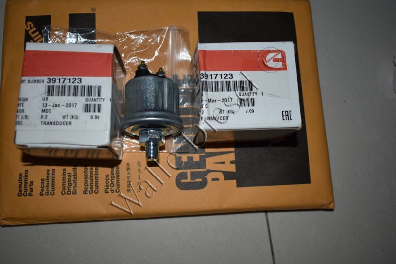 3917123 Transducer