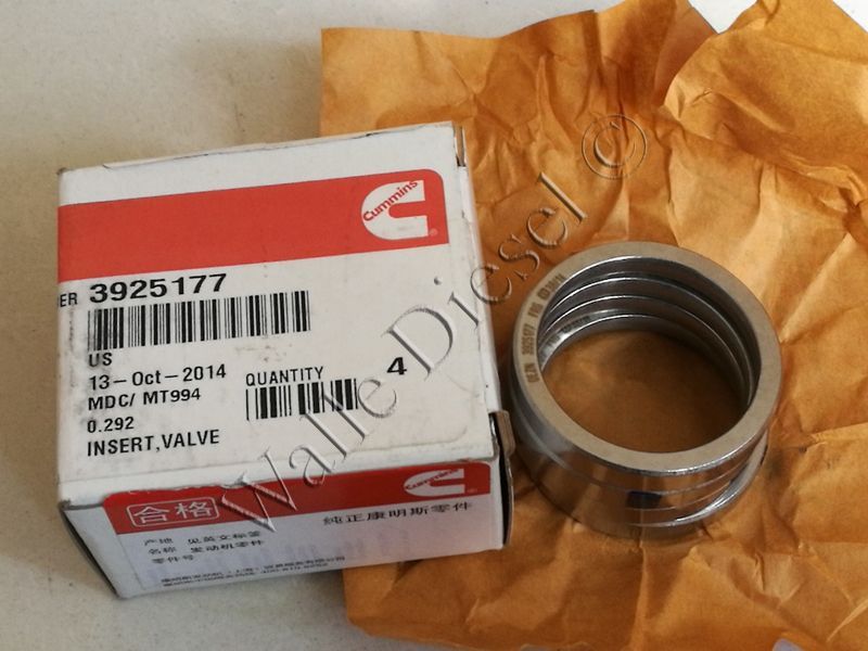 3925177 Valve Insert