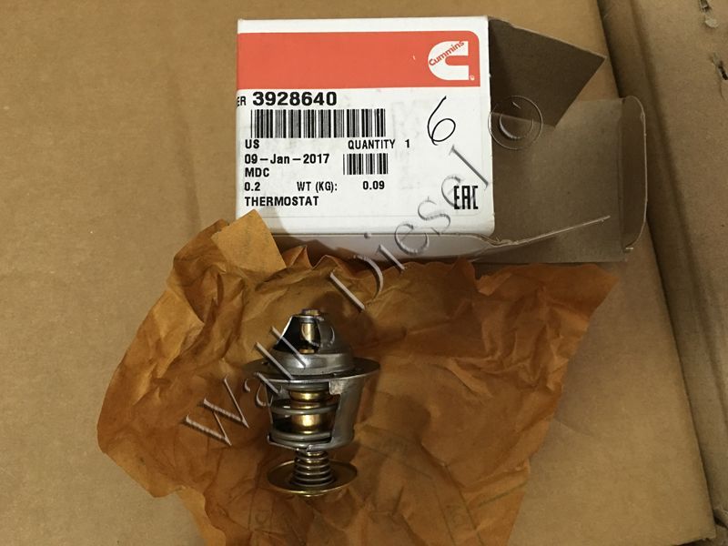 3928640 Thermostat