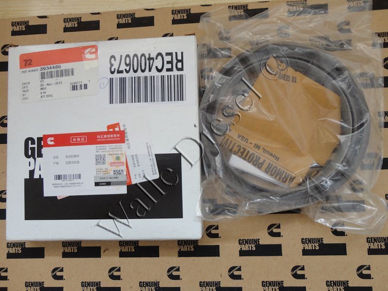 3934486 Seal Kit