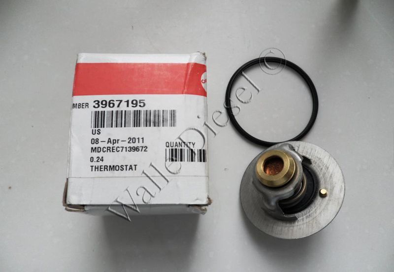 3967195 Thermostat