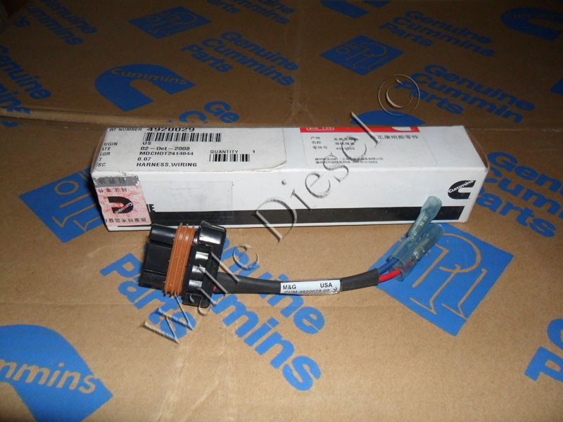 4920029 Wiring Harness