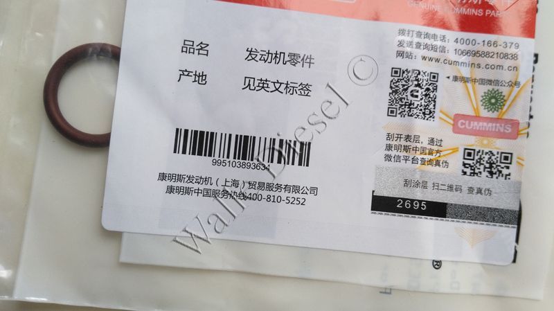 4928599 O Ring Seal