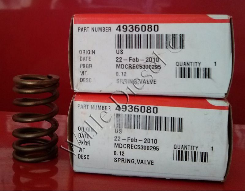 4936080 Valve Spring