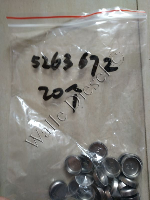 5263672 Expansion Plug