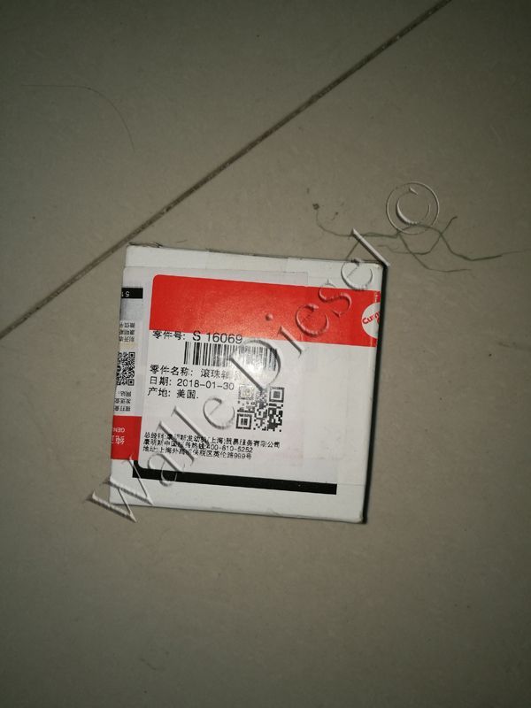 S16069 Ball Bearing