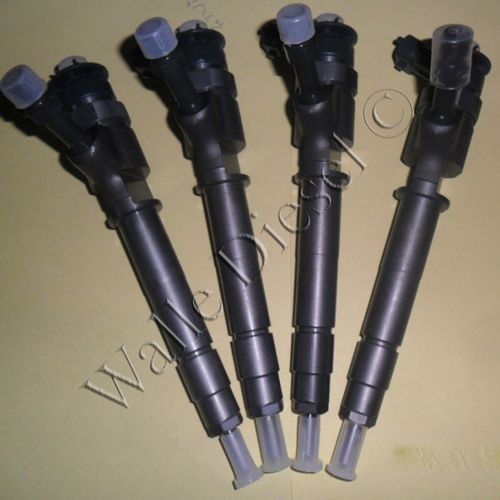 0445110249 Injector