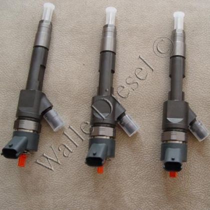 0445110280 Injector