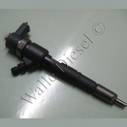 0445110321 Injector