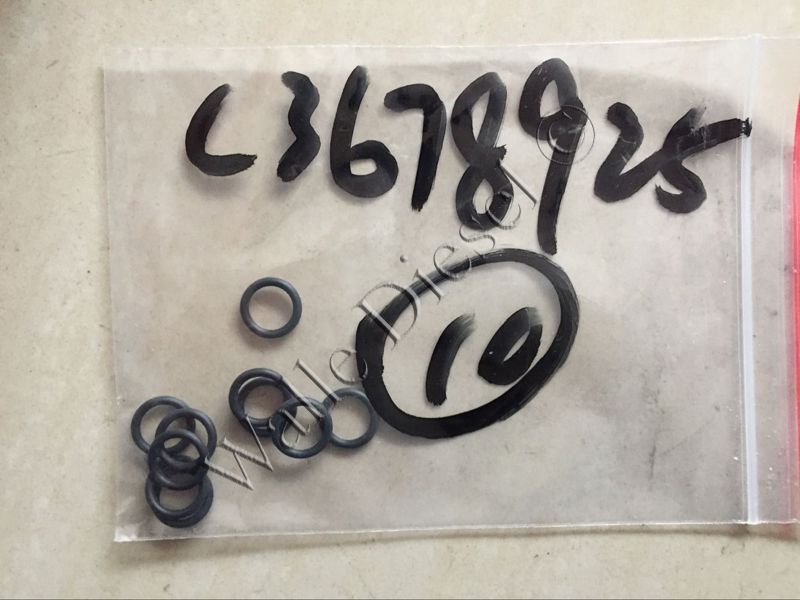 3678925 O-Ring Seal