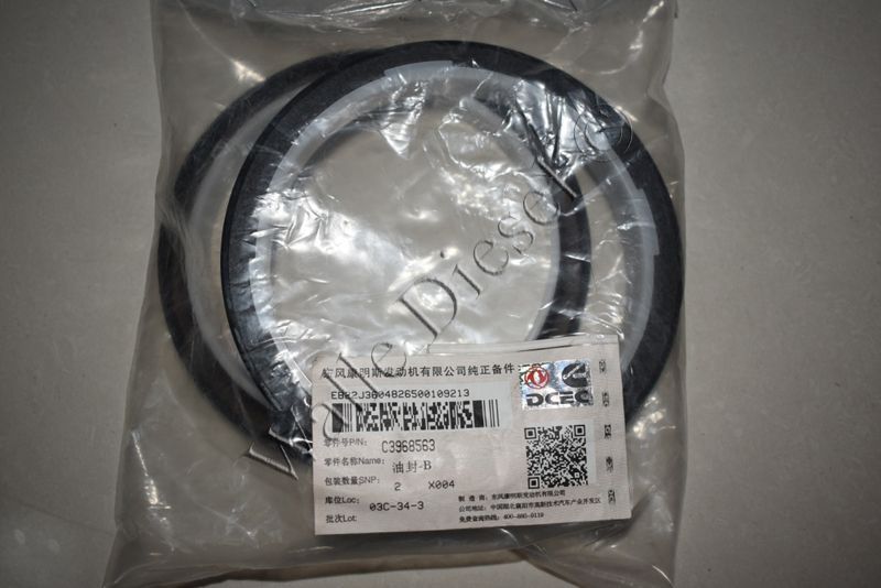 3968563 Oil Seal