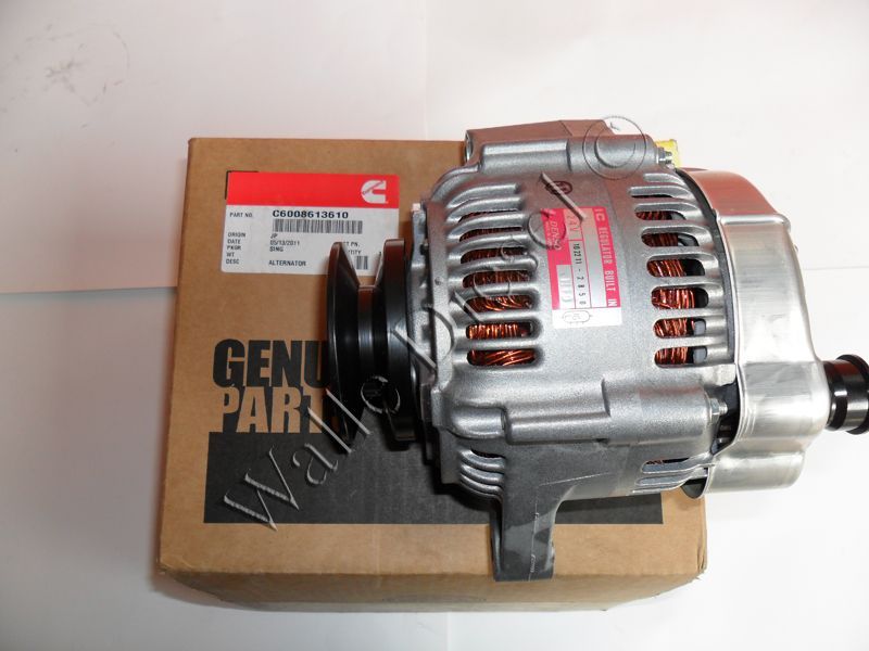 C6008613610 Alternator