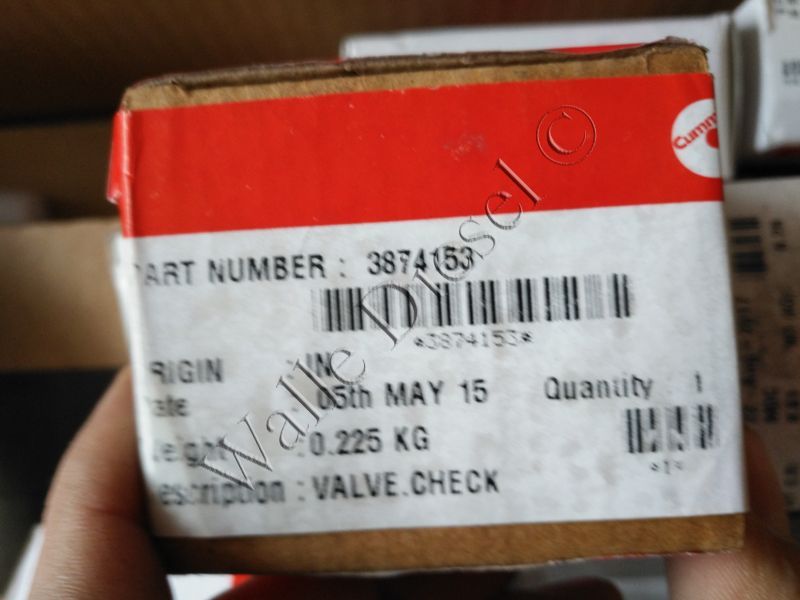 3874153 Check Valve