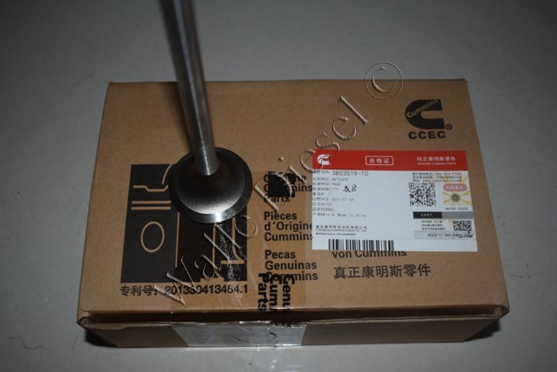 3803519 Exhaust Valve