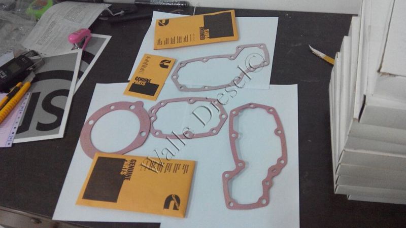 3010242 Fuel Pump Gasket Kit