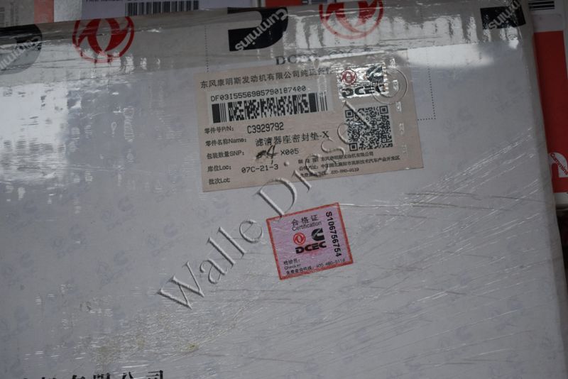 3929792 Filter Head Gasket