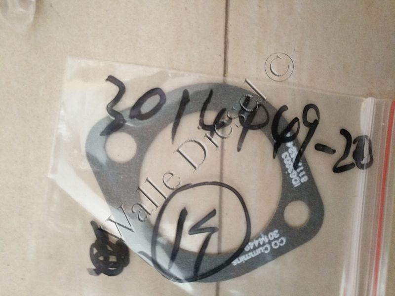 3014449 Flange Gasket