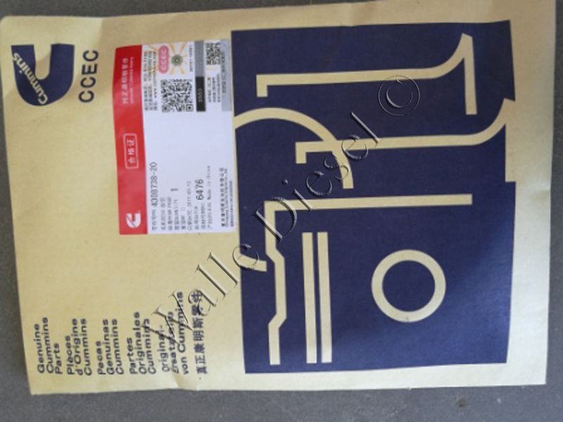 4308738 Flexible Hose