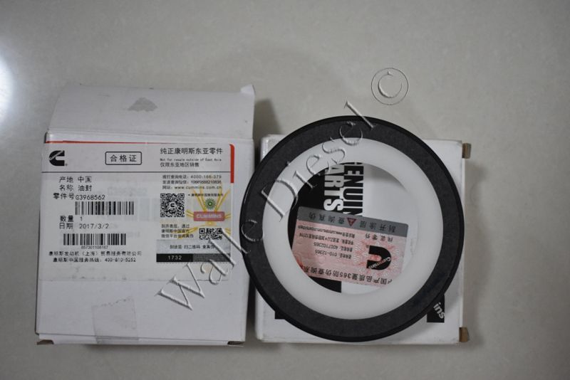 3968562 Oil Seal