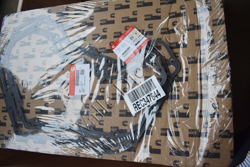 3914385 Gear Cover Gasket