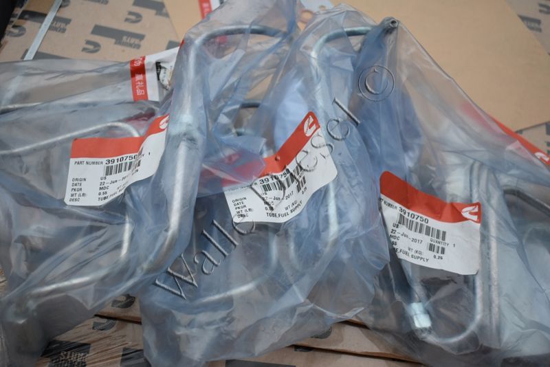 3910750 Injector Fuel Supply Tube