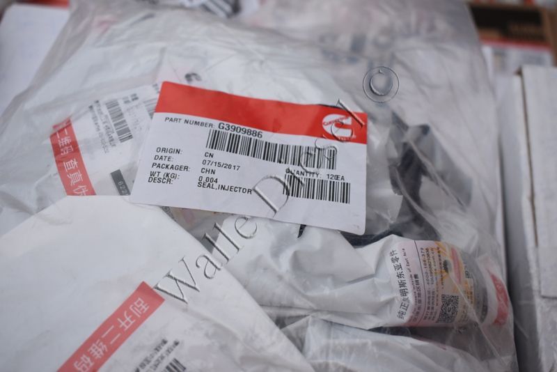 3909886 Injector Seal