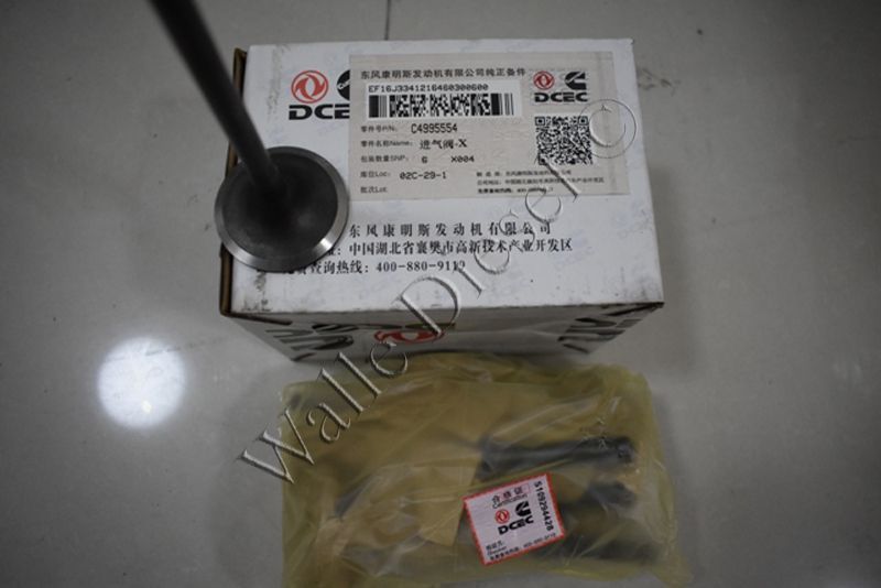 495554 Intake Valve