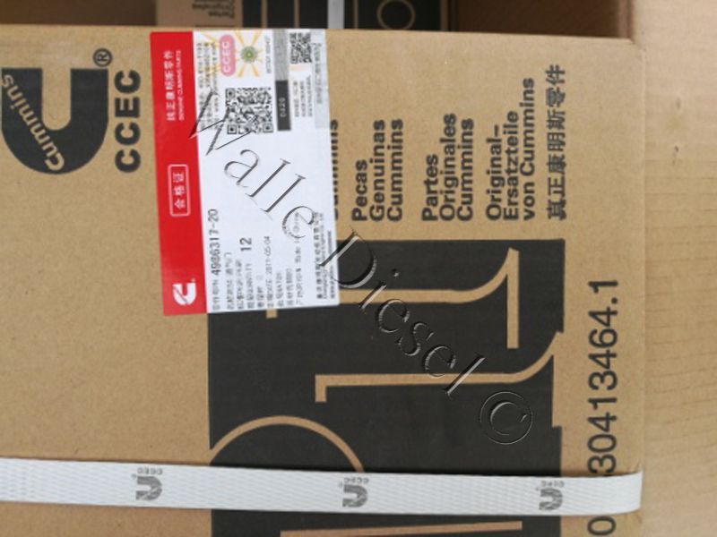 4986317 Intake Valve