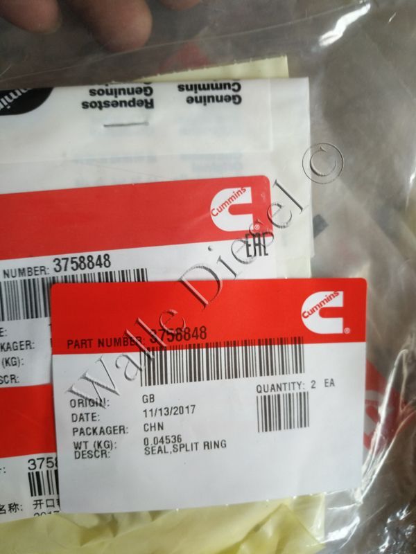 3758848 Split Ring Seal