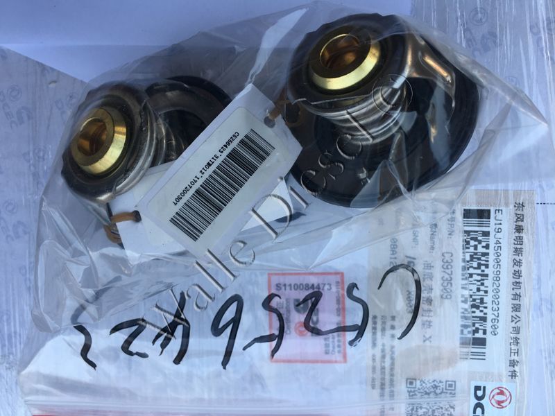 5256423 Thermostat