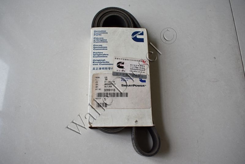 3289113 V Ribbed Belt