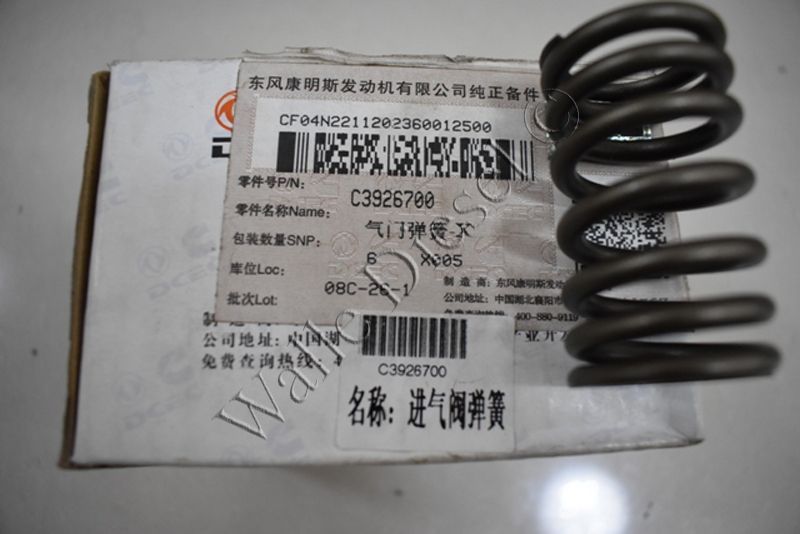 3926700 Valve Spring