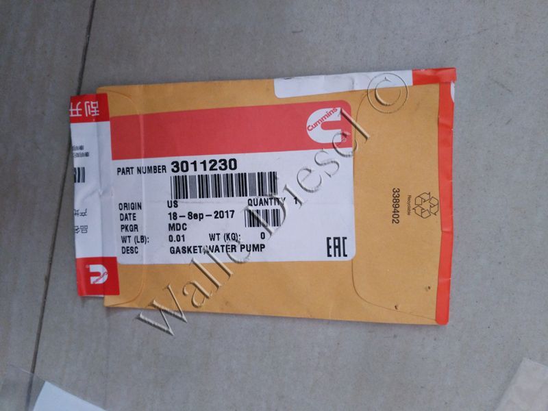 3011230 Water Pump Gasket