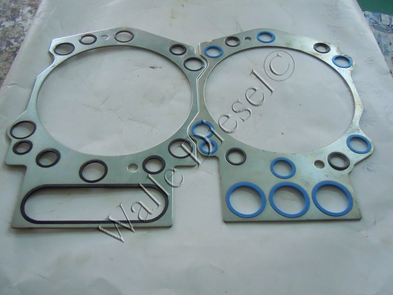 205479 Cylinder Head Gasket