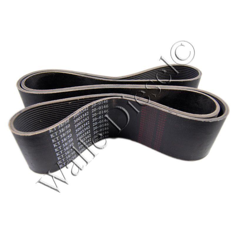 3003342 V RIBBED BELT