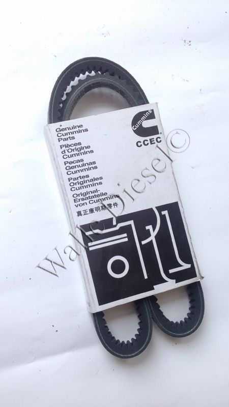 3040292 V RIBBED BELT