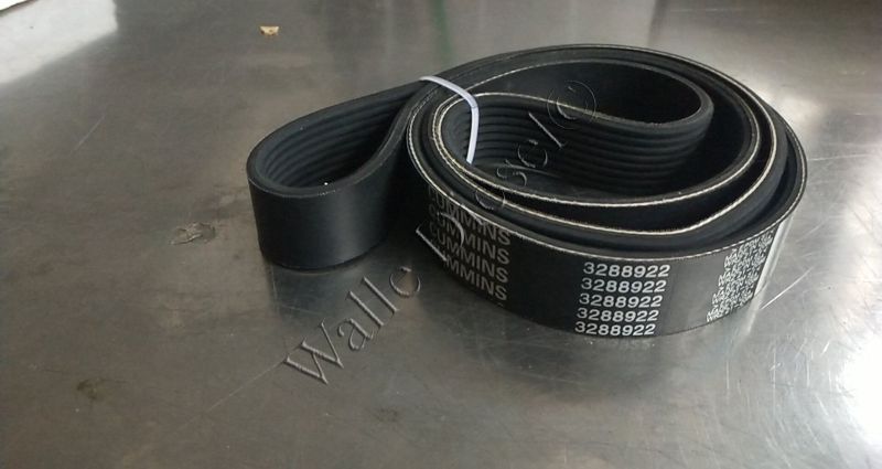 3288922 V Ribbed Belt